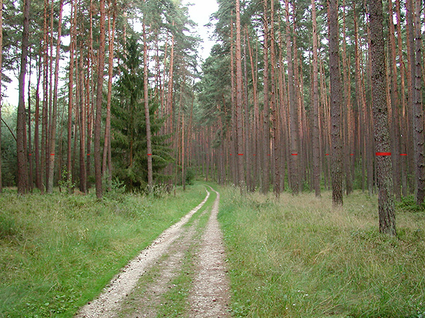 hembacher höhepunkte