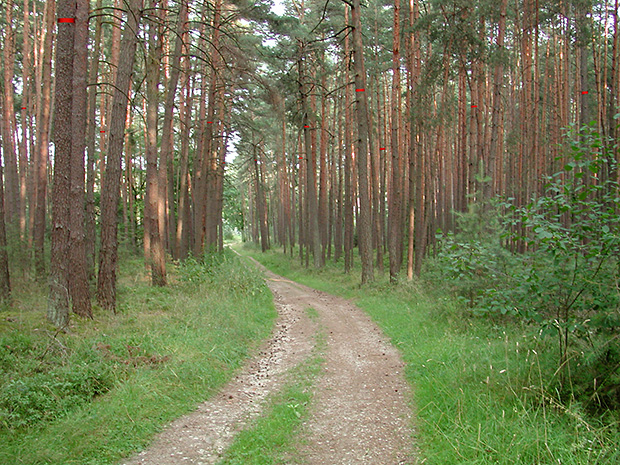 hembacher höhepunkte